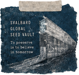 Svalbard Global Seed Vault als sachliche Skizze auf dunklem Papier